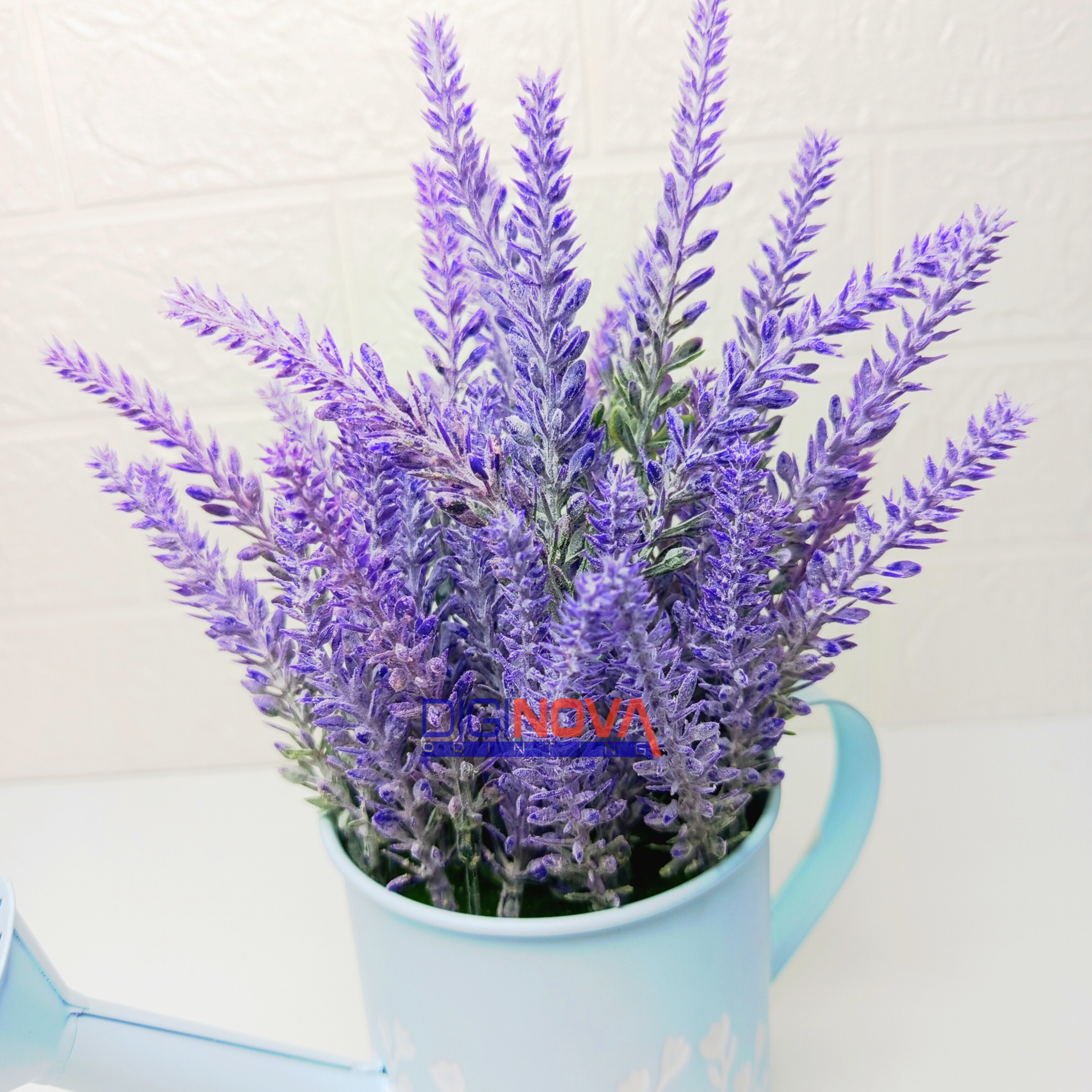 Lavender Dreams Plante